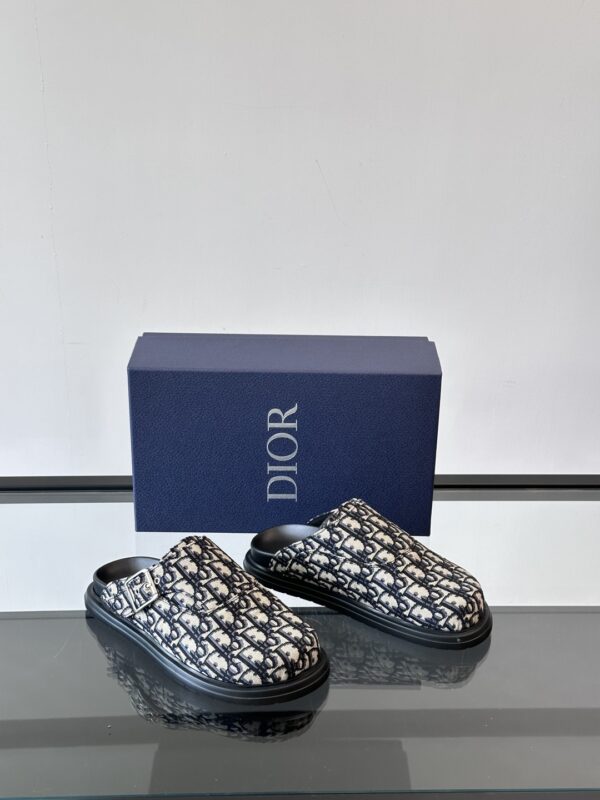 Christian Dior Aqua Oblique Printed Men's Hooded Muller Shoes